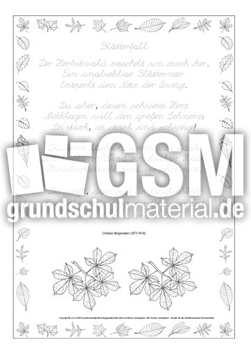 Nachspuren-Blätterfall-Morgenstern-LA.pdf